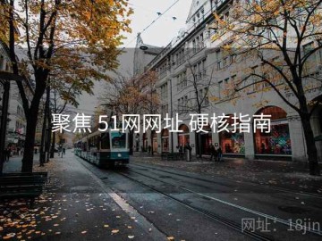 聚焦 51网网址 硬核指南