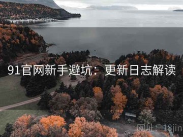 91官网新手避坑：更新日志解读
