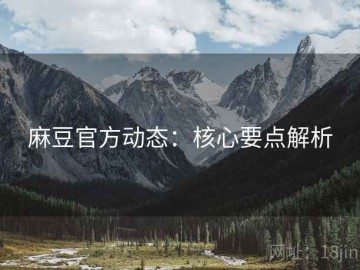 麻豆官方动态：核心要点解析