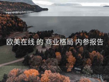 欧美在线 的 商业格局 内参报告
