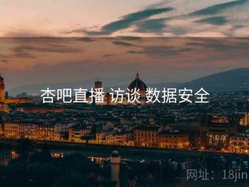 杏吧直播 访谈 数据安全
