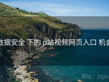 数据安全 下的 p站视频网页入口 机会