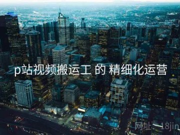 p站视频搬运工 的 精细化运营