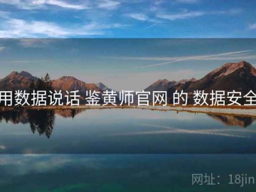 用数据说话 鉴黄师官网 的 数据安全