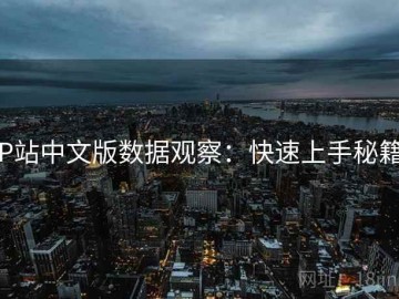 P站中文版数据观察：快速上手秘籍