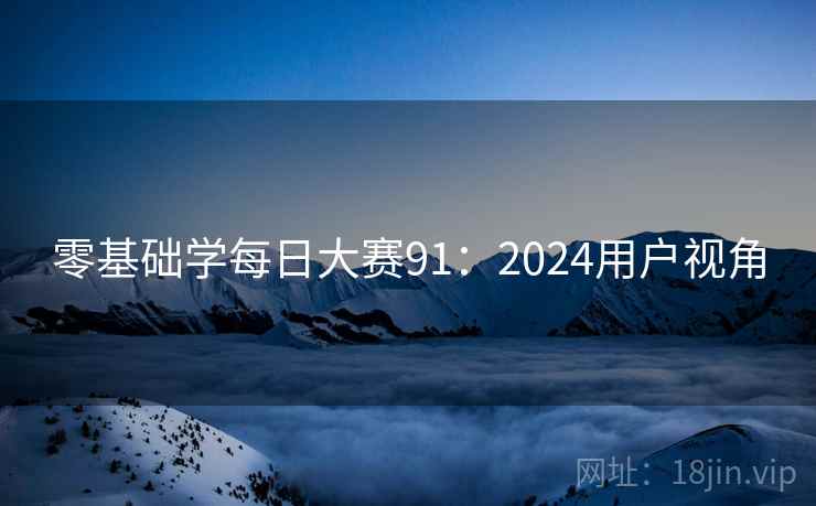 零基础学每日大赛91：2024用户视角