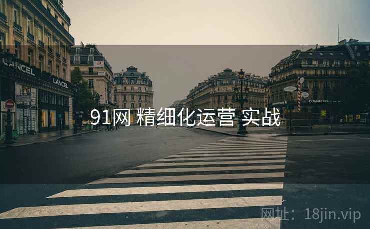 91网 精细化运营 实战