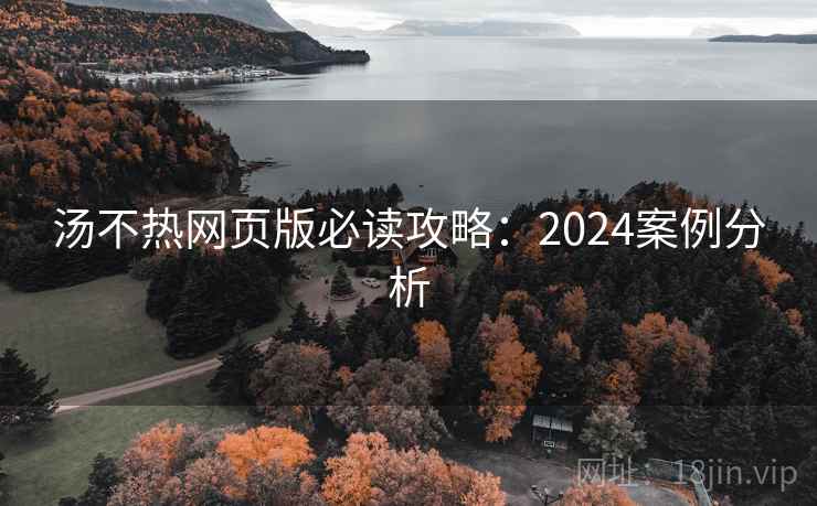 汤不热网页版必读攻略：2024案例分析
