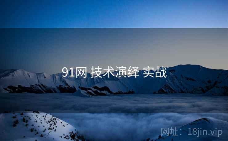 91网 技术演绎 实战