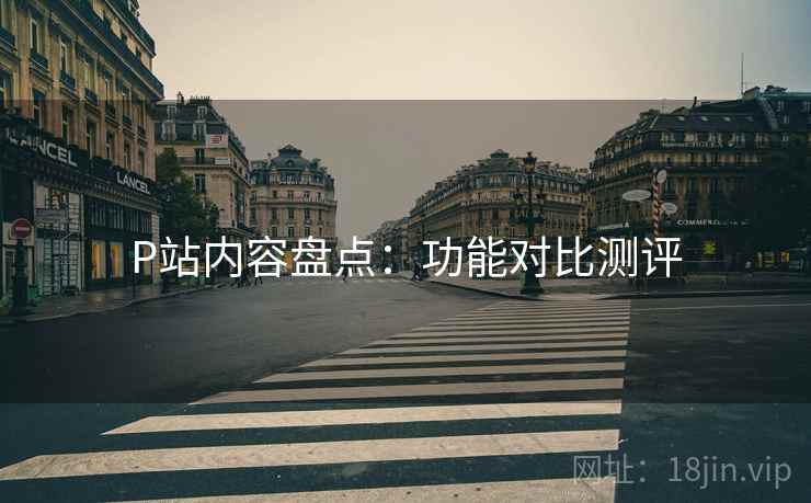 P站内容盘点：功能对比测评