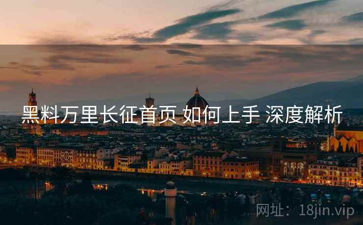 黑料万里长征首页 如何上手 深度解析