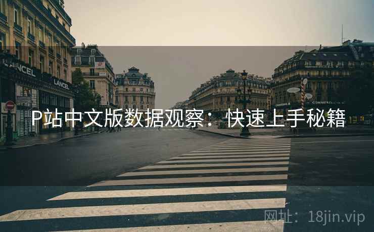 P站中文版数据观察：快速上手秘籍