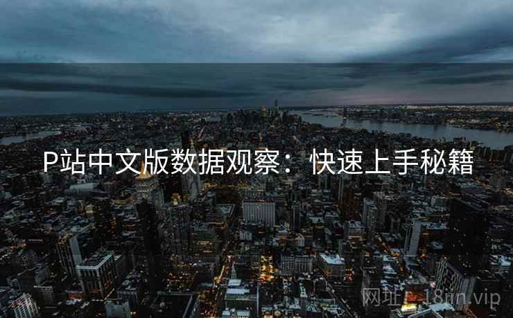P站中文版数据观察：快速上手秘籍