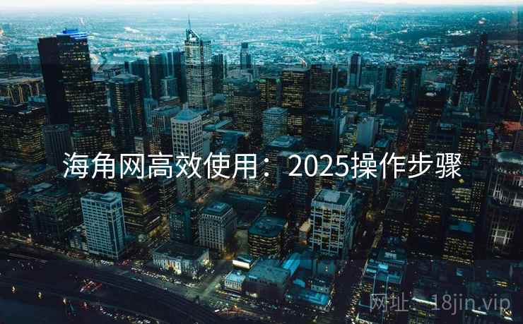 海角网高效使用：2025操作步骤