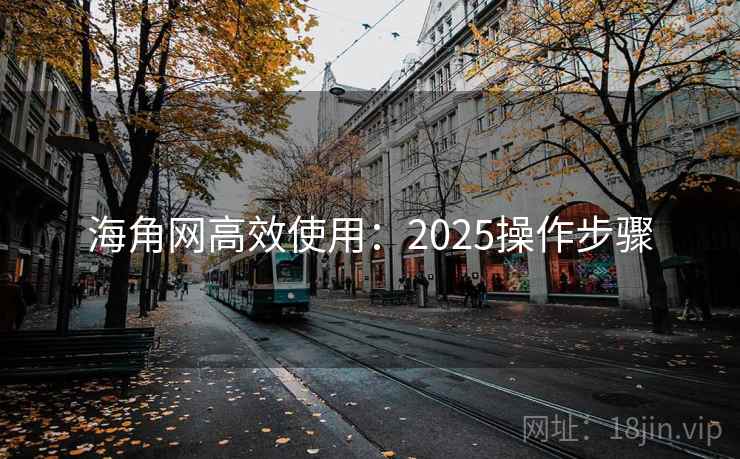 海角网高效使用：2025操作步骤