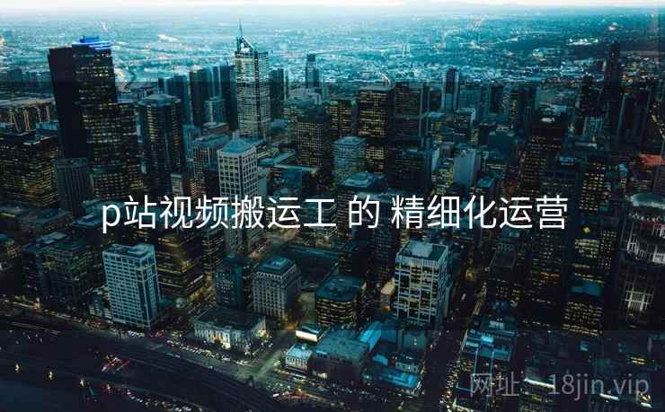 p站视频搬运工 的 精细化运营