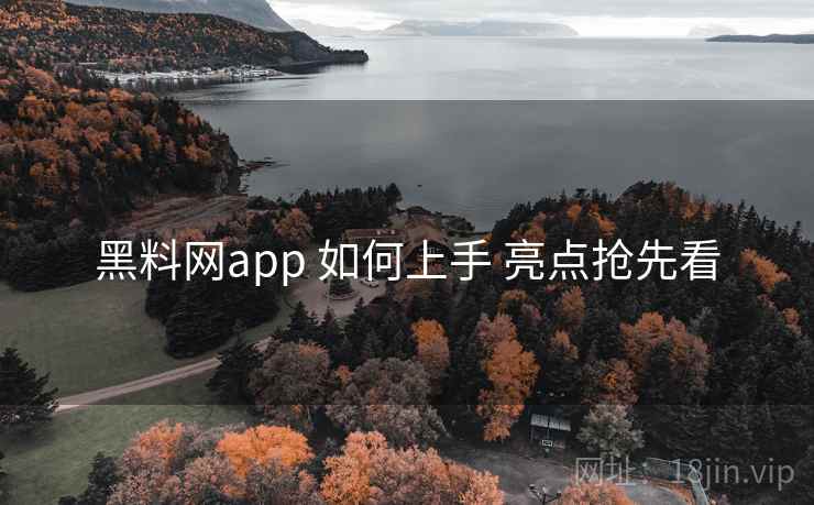 黑料网app 如何上手 亮点抢先看