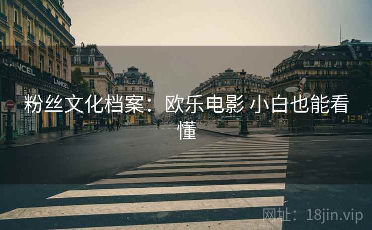 粉丝文化档案：欧乐电影 小白也能看懂