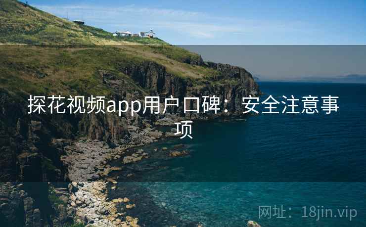 探花视频app用户口碑：安全注意事项