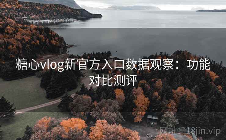 糖心vlog新官方入口数据观察：功能对比测评