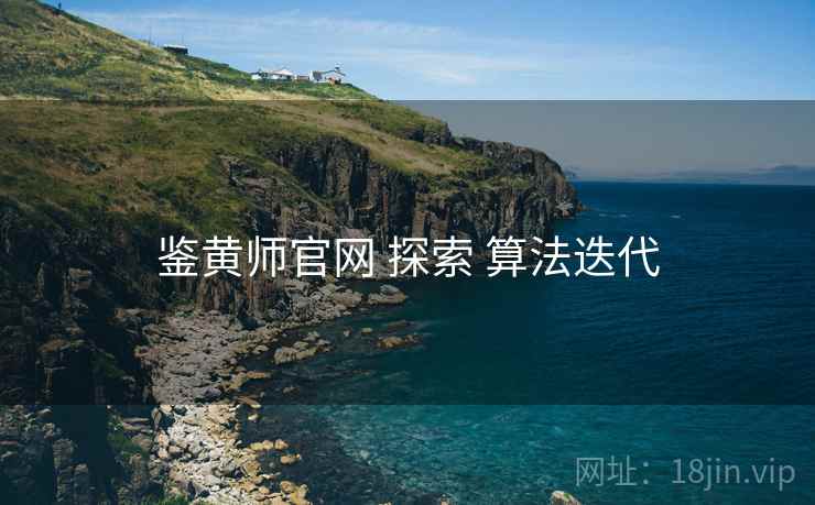 鉴黄师官网 探索 算法迭代