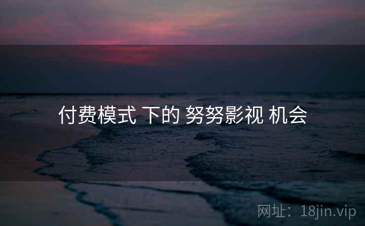 付费模式 下的 努努影视 机会