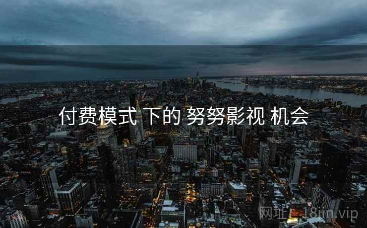 付费模式 下的 努努影视 机会