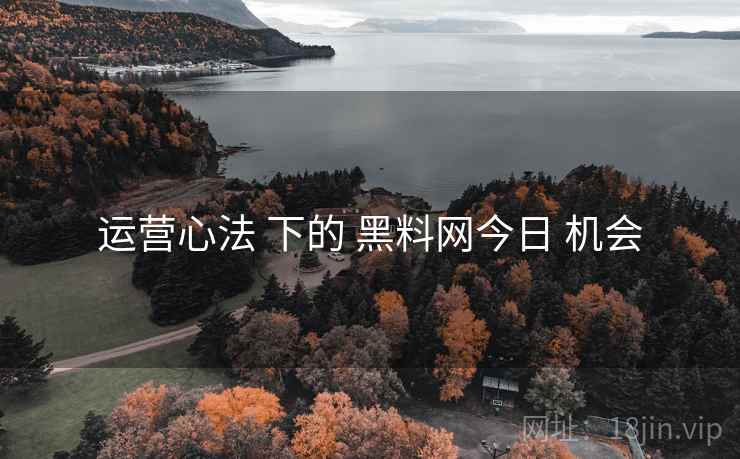 运营心法 下的 黑料网今日 机会