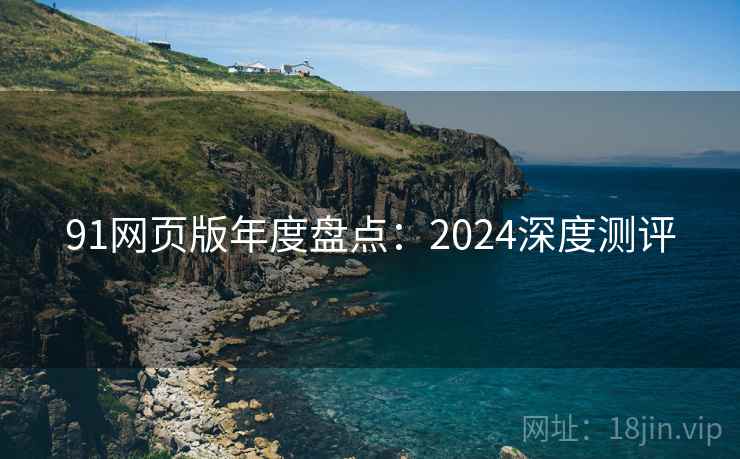 91网页版年度盘点：2024深度测评
