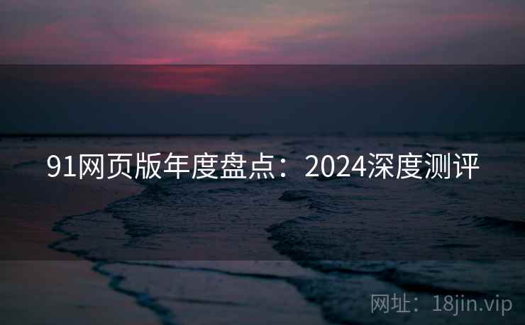 91网页版年度盘点：2024深度测评