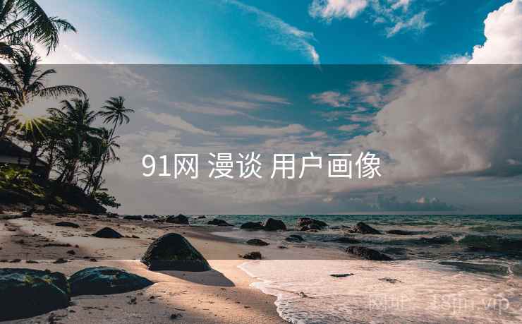 91网 漫谈 用户画像