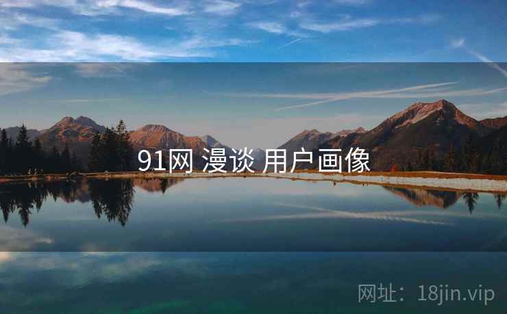 91网 漫谈 用户画像