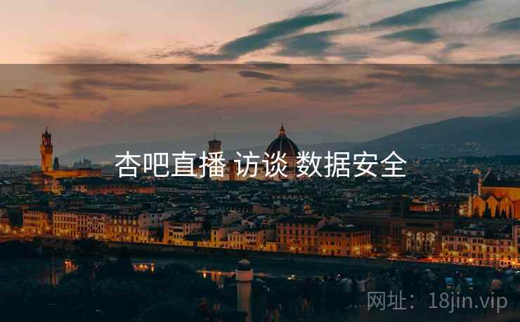 杏吧直播 访谈 数据安全