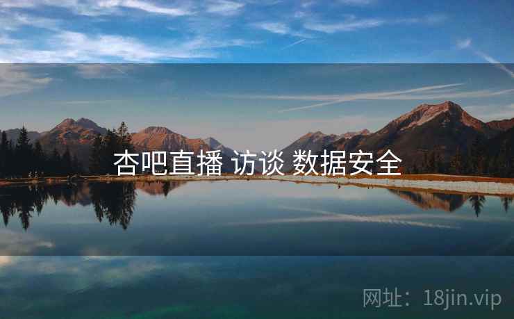 杏吧直播 访谈 数据安全