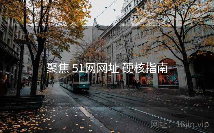 聚焦 51网网址 硬核指南