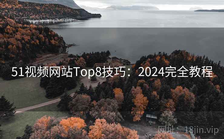 51视频网站Top8技巧：2024完全教程