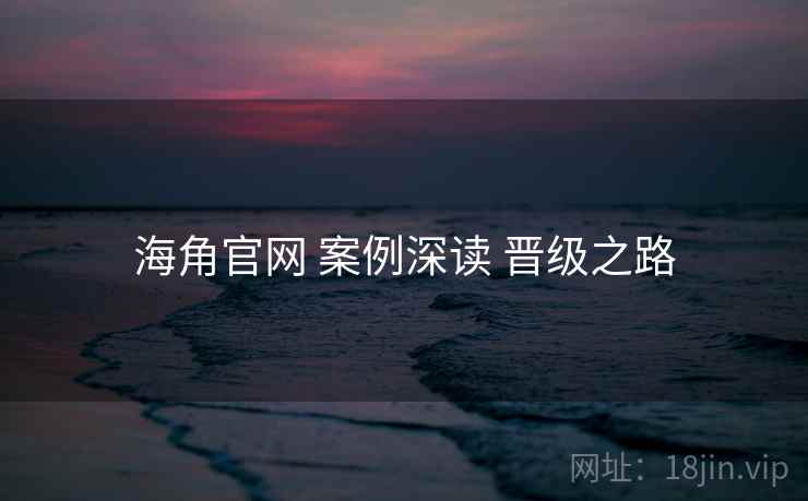 海角官网 案例深读 晋级之路