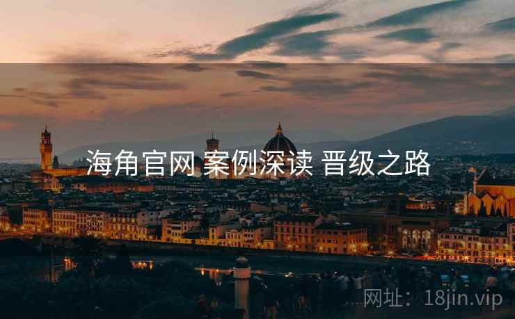 海角官网 案例深读 晋级之路