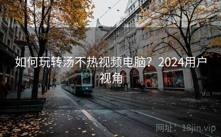 如何玩转汤不热视频电脑？2024用户视角