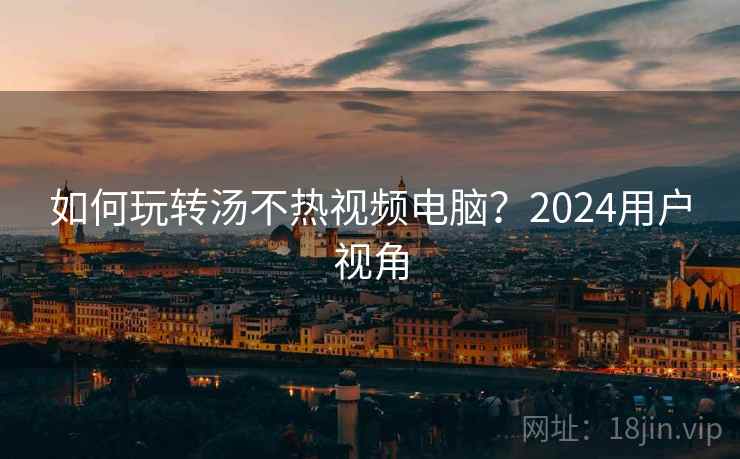如何玩转汤不热视频电脑？2024用户视角