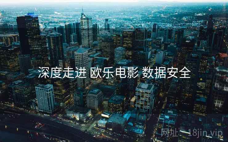深度走进 欧乐电影 数据安全