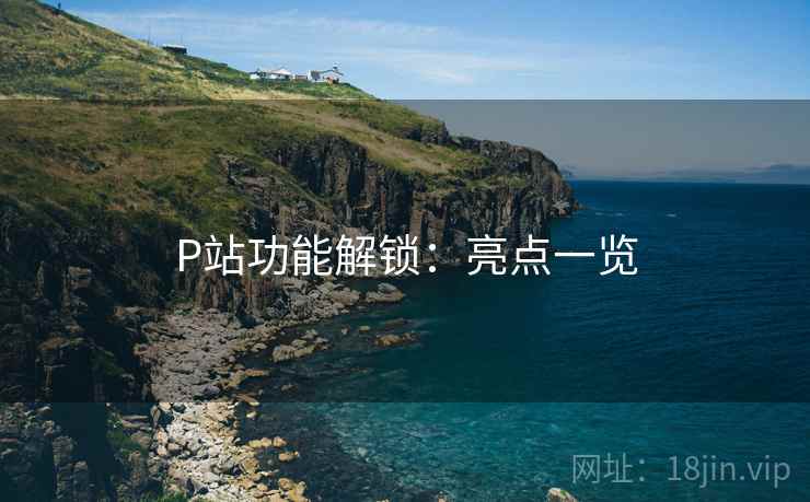 P站功能解锁：亮点一览