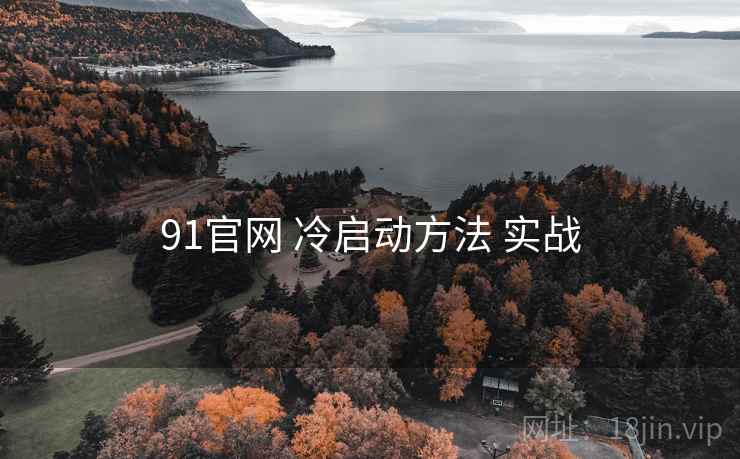 91官网 冷启动方法 实战