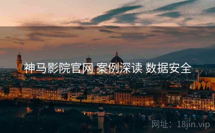 神马影院官网 案例深读 数据安全