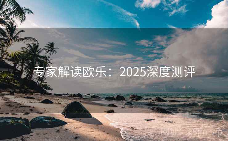 专家解读欧乐：2025深度测评