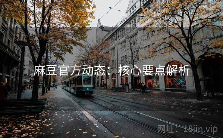 麻豆官方动态：核心要点解析