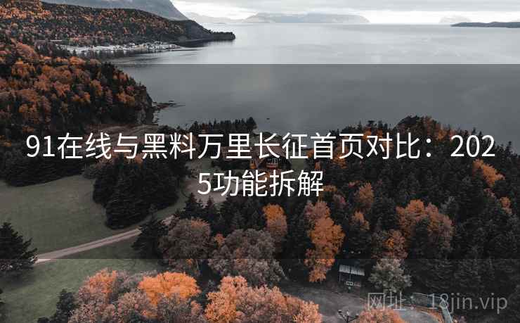 91在线与黑料万里长征首页对比：2025功能拆解