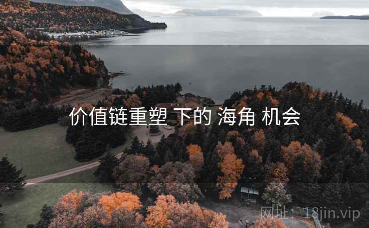 价值链重塑 下的 海角 机会