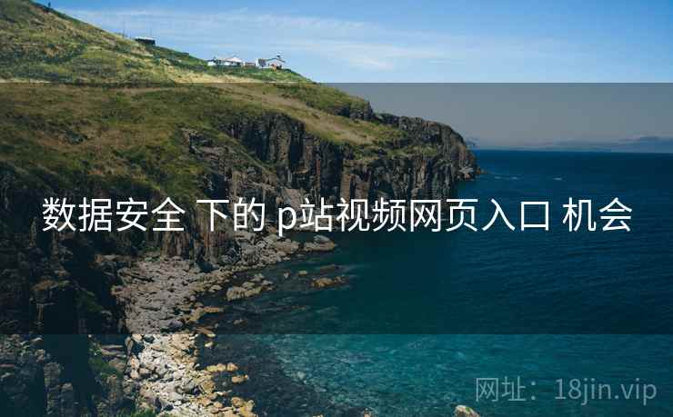 数据安全 下的 p站视频网页入口 机会