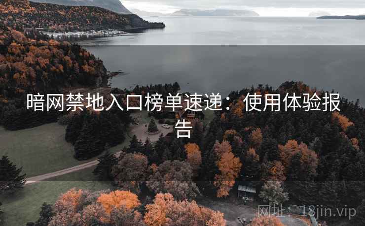 暗网禁地入口榜单速递：使用体验报告